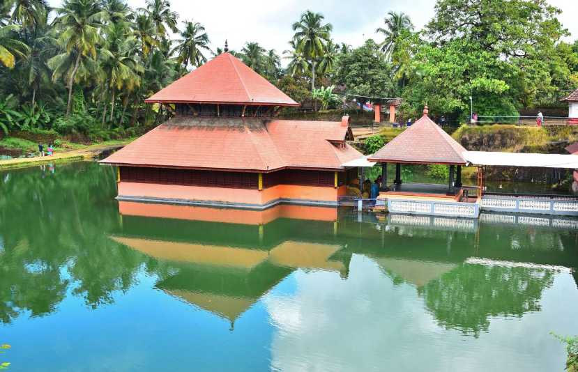 Lake Surroundings